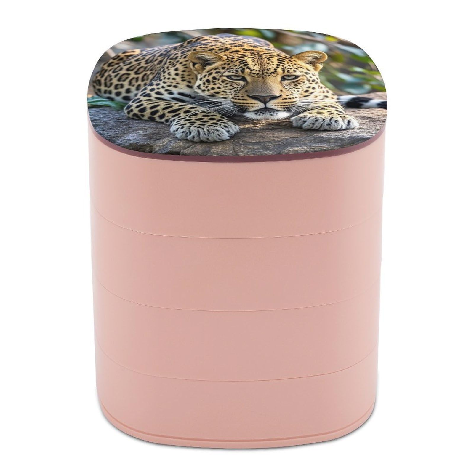 LZQPOEAS Leopard on The Stone Jewelry Organizer Small Jewelry Storage Box Earring Holder for Women 4-Layer Rotating Travel Jewelry Tray Case with Lid for Bracelets Rings Gift