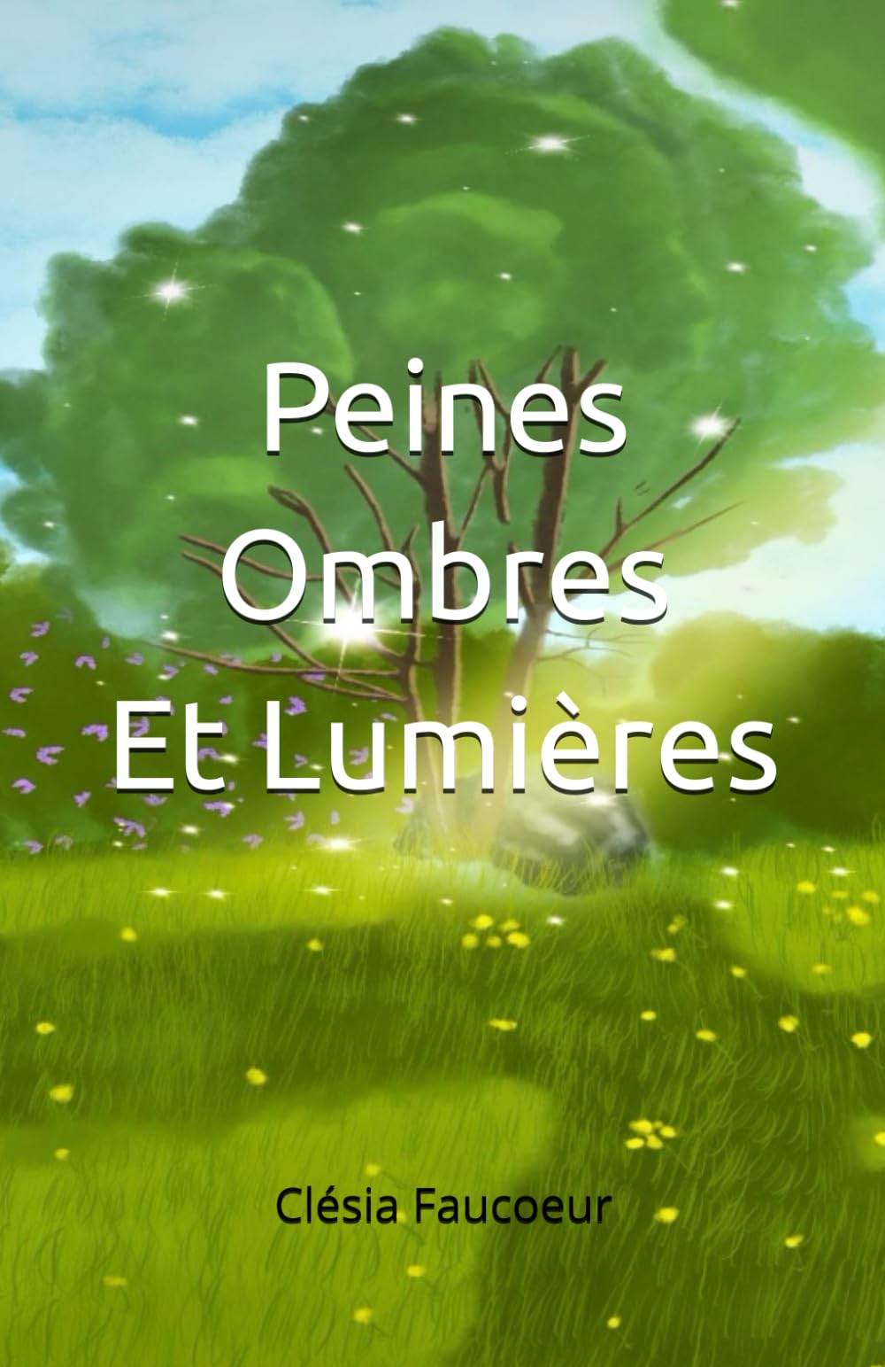 Peines Ombres et Lumières
