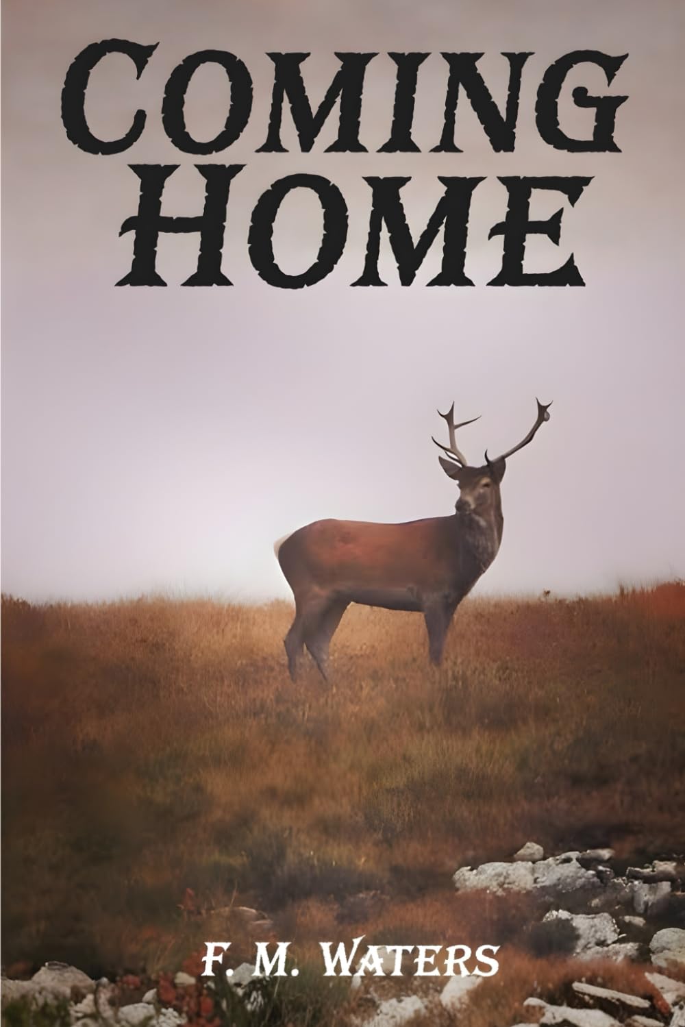 Coming Home