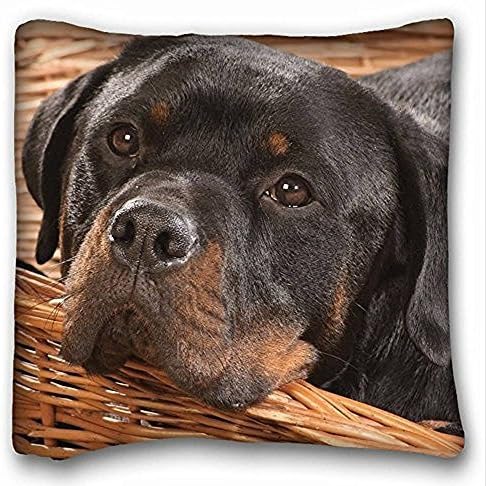My Honey Pillow Pillow Cover dog dog rottweiler 18 in*18 Twin Sides by My Honey Pillow, Multi, 45 x 45 cm (Pack of 1)
