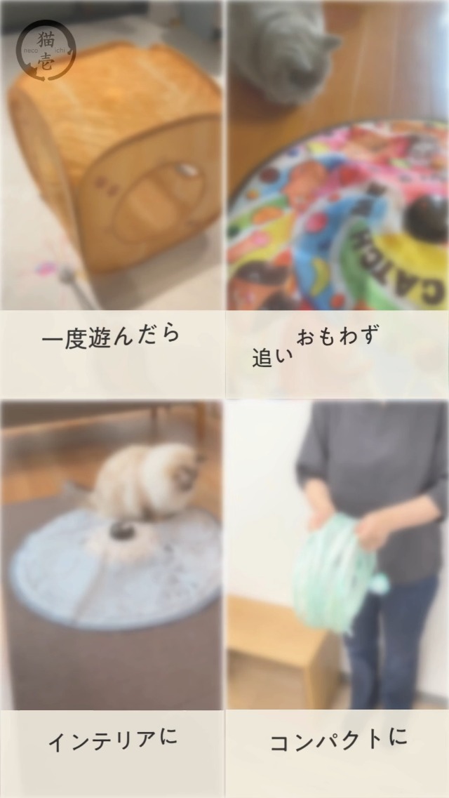 猫壱(necoichi) キャッチ・ミー・イフ・ユー・キャン2 猫用電動おもちゃ