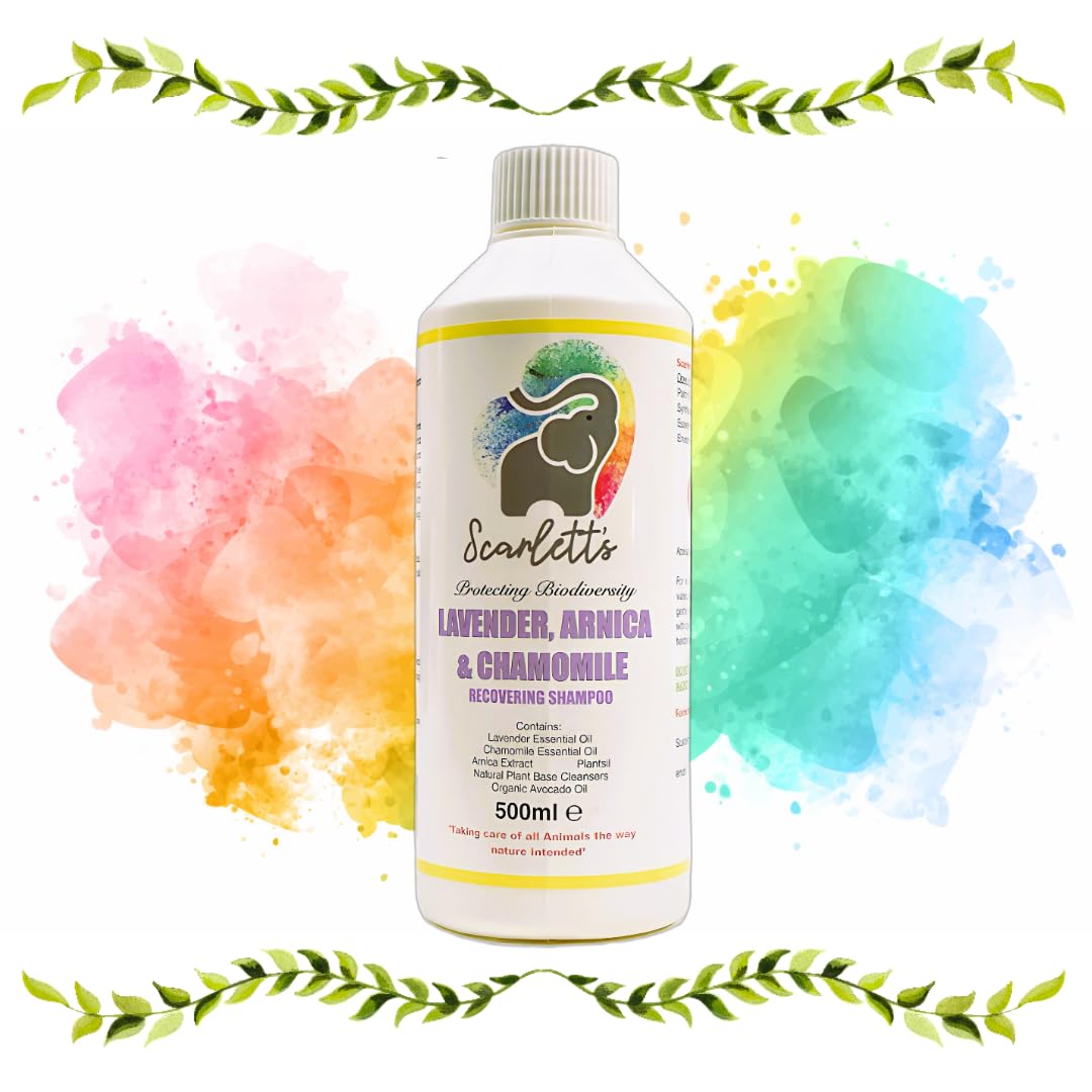 Scarlett's Sustainable Range Lavender, Arnica & Chamomile Recovering Shampoo, 500ml