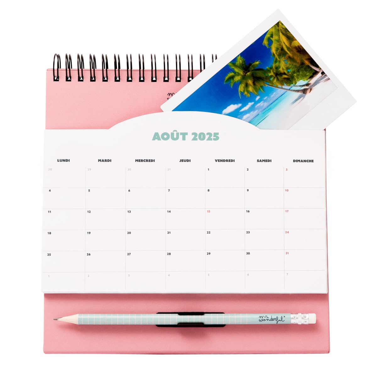 Mr. Wonderful Calendario Magnetico 2025 - Con Adesivi, Blocchi Note E Penna | Regalo Divertente - Foto 8