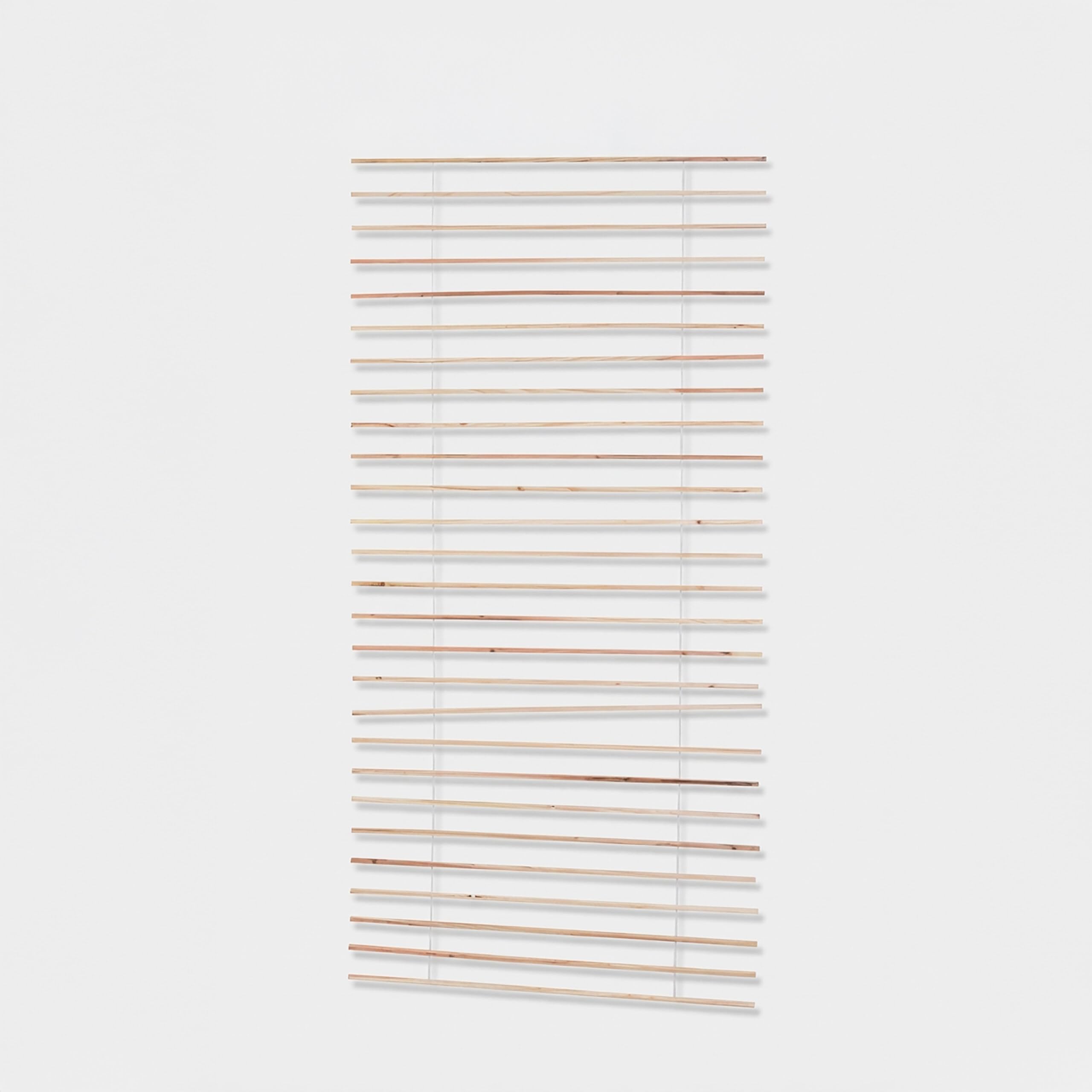 Relaxdays Graticcio da Parete per Piante rampicanti 200x100 cm, Supporto Giardino e Balcone