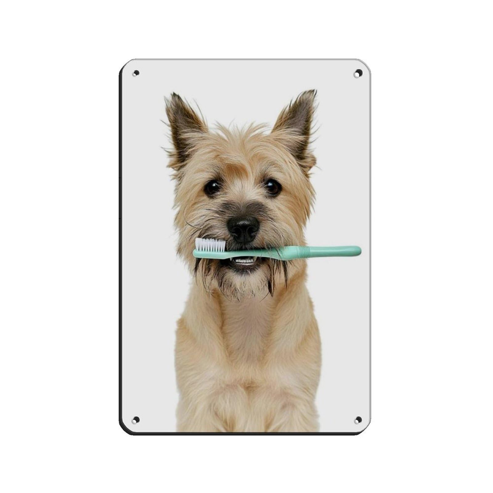 Cairn Terrier Dog Bathroom Art Brushing Teeth Retro Poster Metal Tin Sign Chic Art Retro Iron Painting Bar People Cave Cafe Family Garage Poster Wall Decoration 8x12inch(20x30cm)