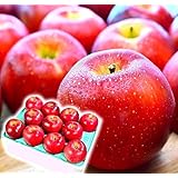 樹上完熟 美味しいぞ 長野りんご【糖度:15度 化学肥料ゼロ】３キロ前後 長野県産 低農薬の安全な至極のリンゴ 【天然由来の堆肥で有機栽培】 「シナノスイート」「あいかの香り」「サンふじ」等,旬の味巡り 蜜入の可能性：23％【美味しくなければ全額返金】