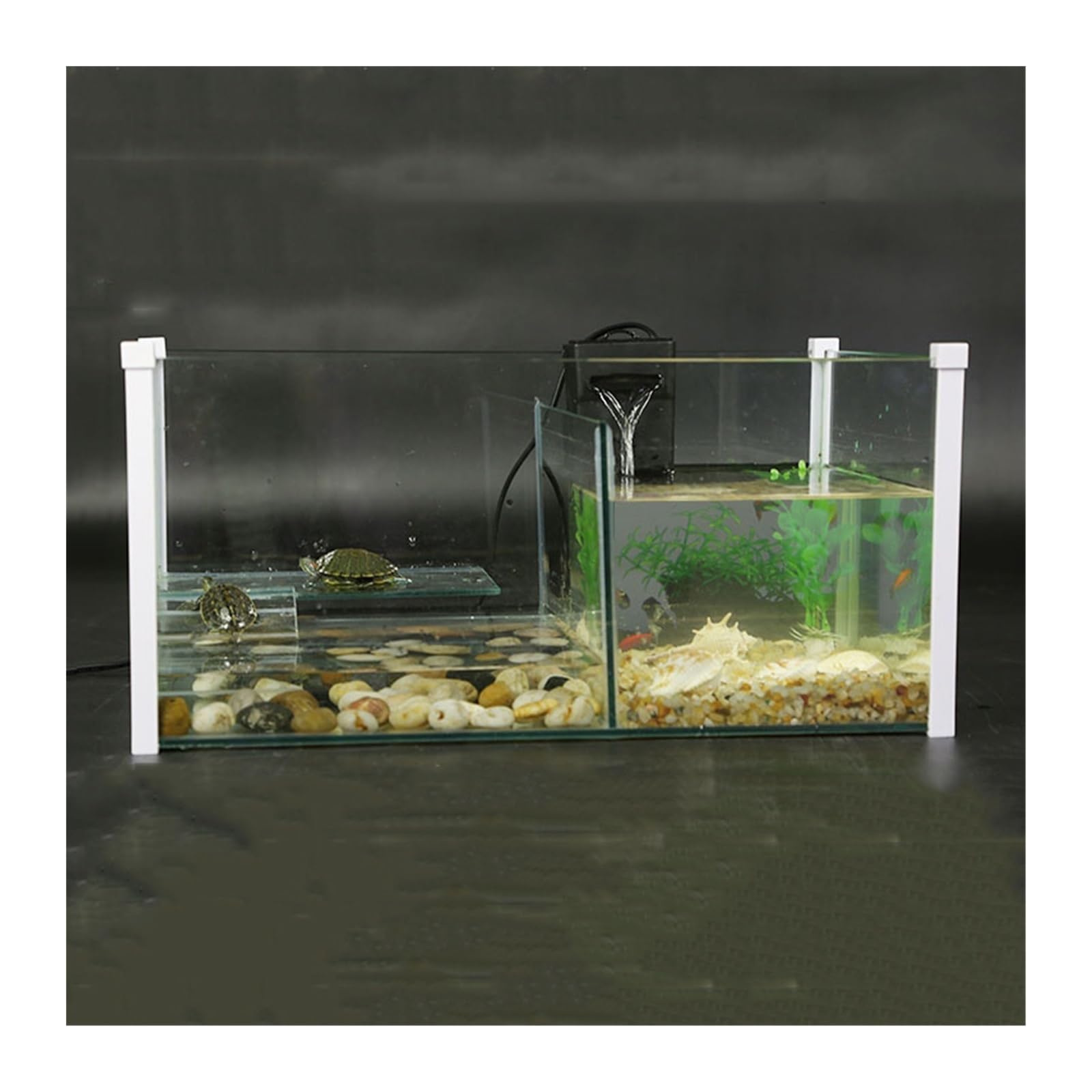 Amazon | 水族館 カメ用水槽ミックスセパレータータンク魚混合