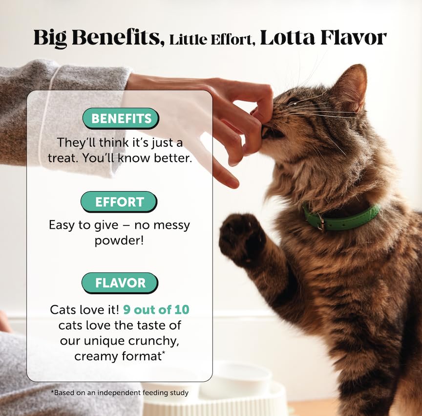 Image of Fresh Breath Dental Bites for Cats - Crunchy & Creamy Cat Dental Treats for Fresh Breath, Tartar & Plaque Control - Dual-Texture Cat Oral Care Bites for Bright Teeth & Healthy Gums - 90 Day Supply