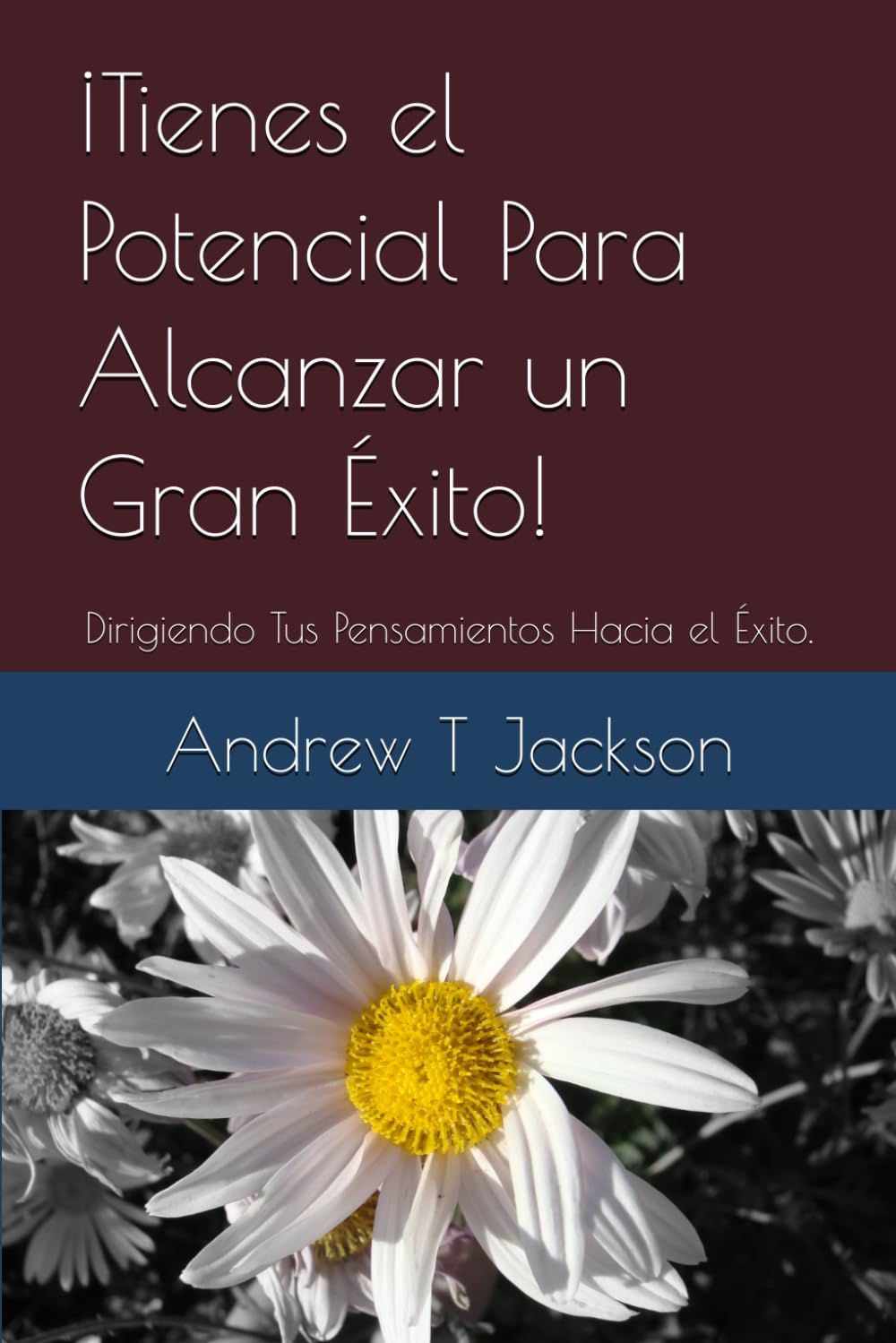 ¡Tienes el Potencial Para Alcanzar un Gran Éxito!: Dirigiendo Tus Pensamientos Hacia el Éxito.