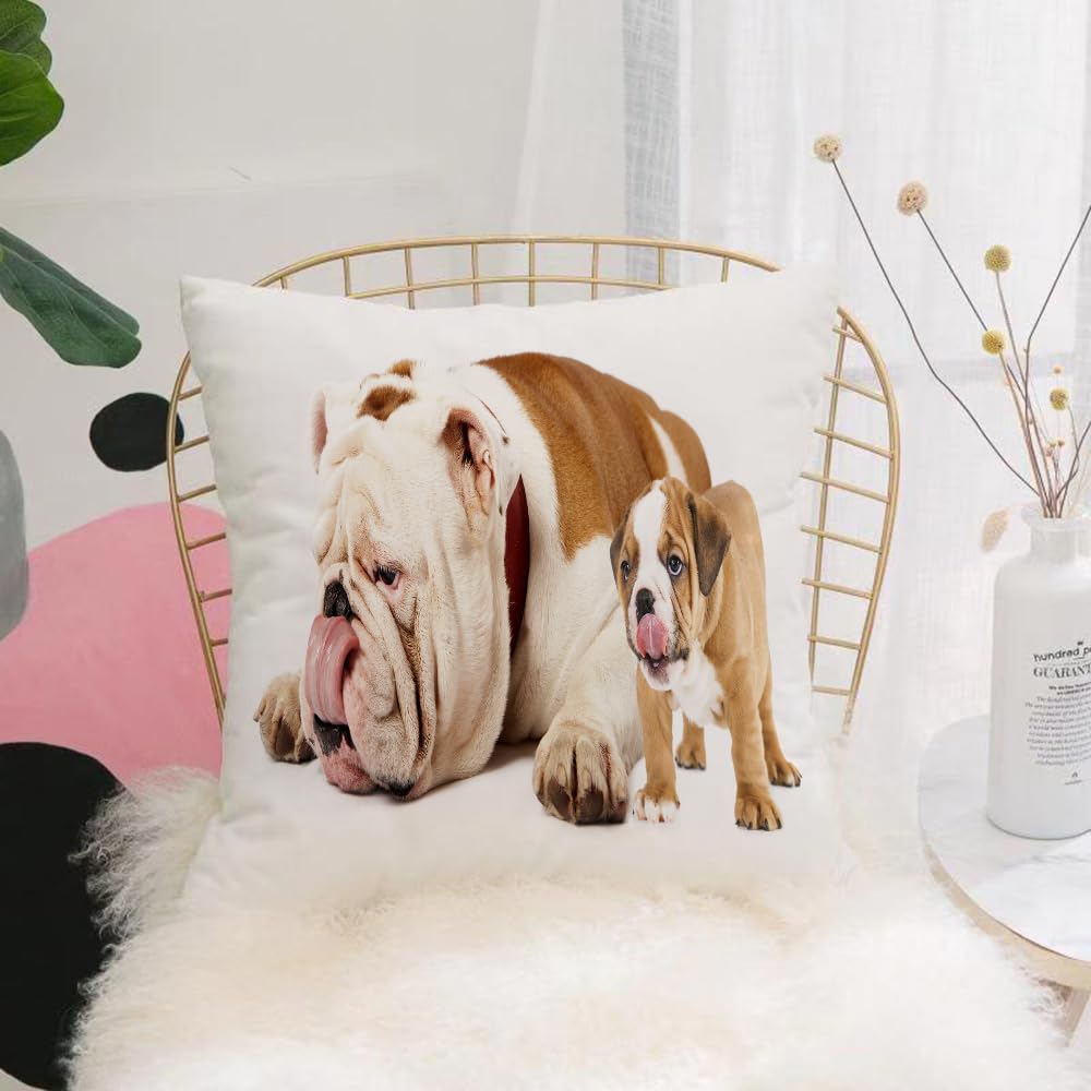 HYMSXW Cushion Cover,Throw Pillow Case Home Decorative for Living Room Bedroom Sofa Chair 20X20 Inch,father and son dogs - english bulldog puppy licking tongue,Pillowcase 50X50cm