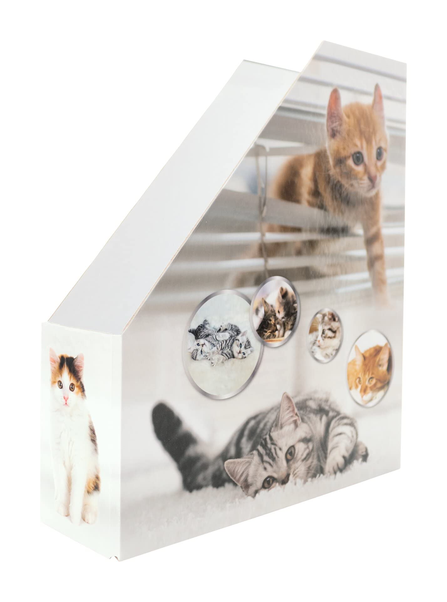 HERMA 19717 Magazine File A4 with Cat Motif, 7.5 cm Wide, Foldable, Sturdy Cardboard - Image 3