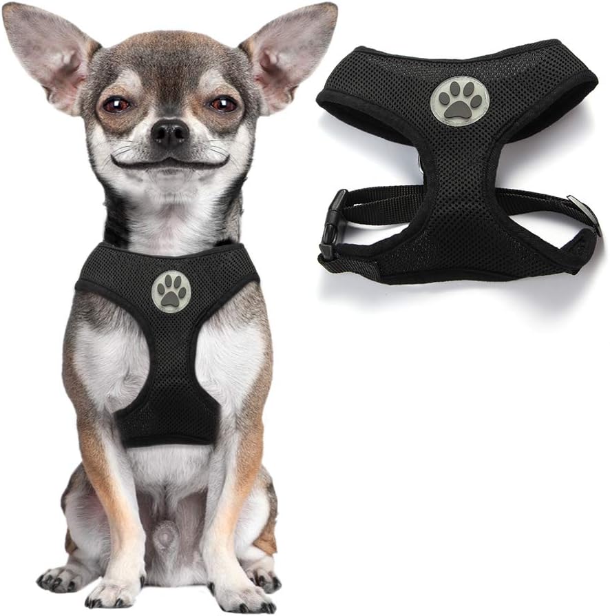 BINGPET Small Dog Harness Breathable Mesh Puppy Cat
