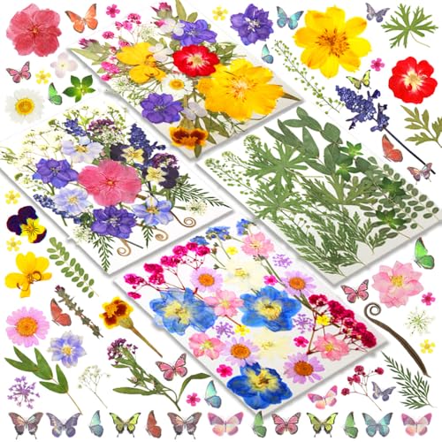 Cawished 120Pcs Fleurs Séchées Colorées 30 Types Fleurs Pressées Séchées Naturelles Papillons Stickers pour DIY Bijoux Ongles Bougies Résine Décoration