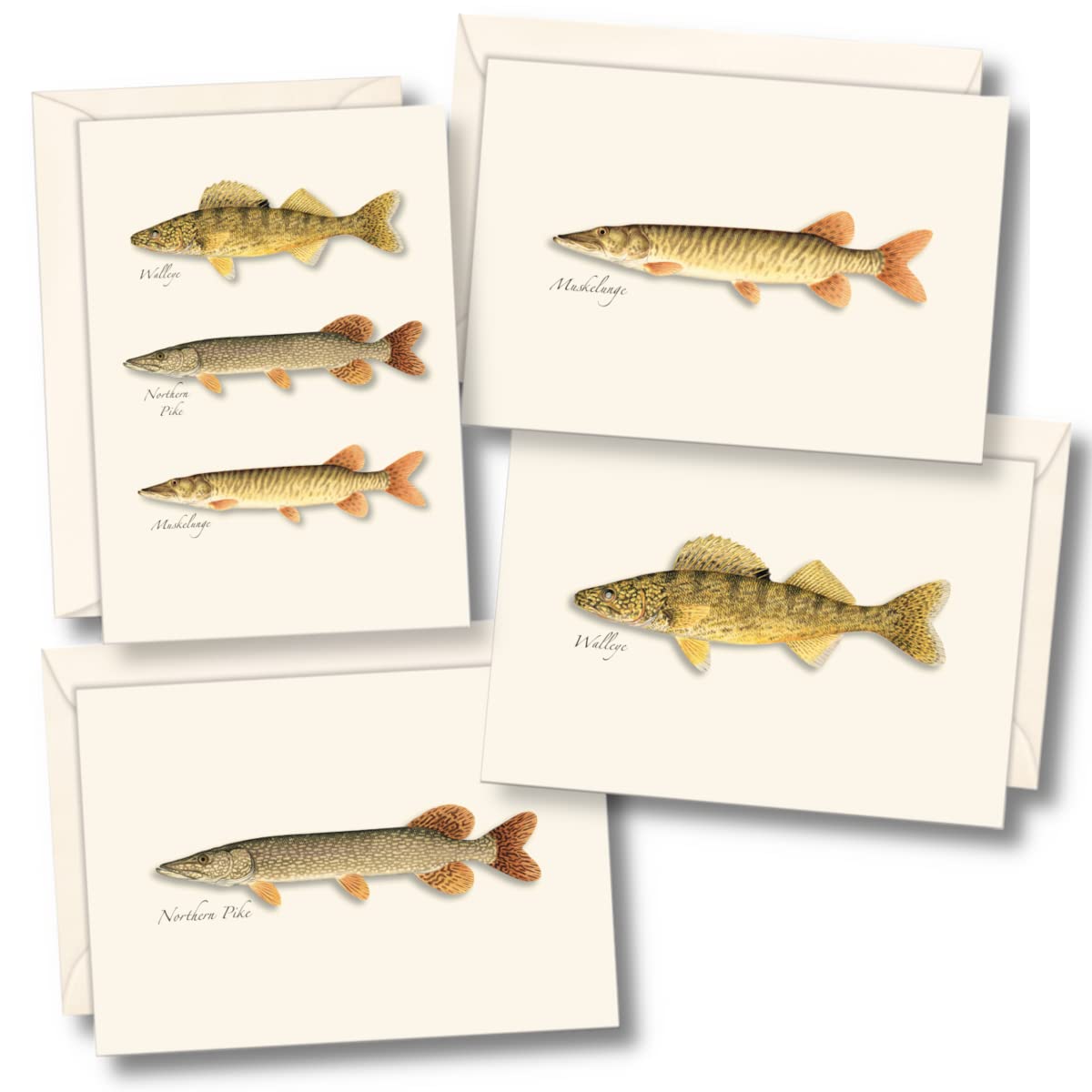 Earth Sky + Water - Northern Gamefish Assortment Notecard Set - 8 Blank Cards with Envelopes (2 each of 4 styles)