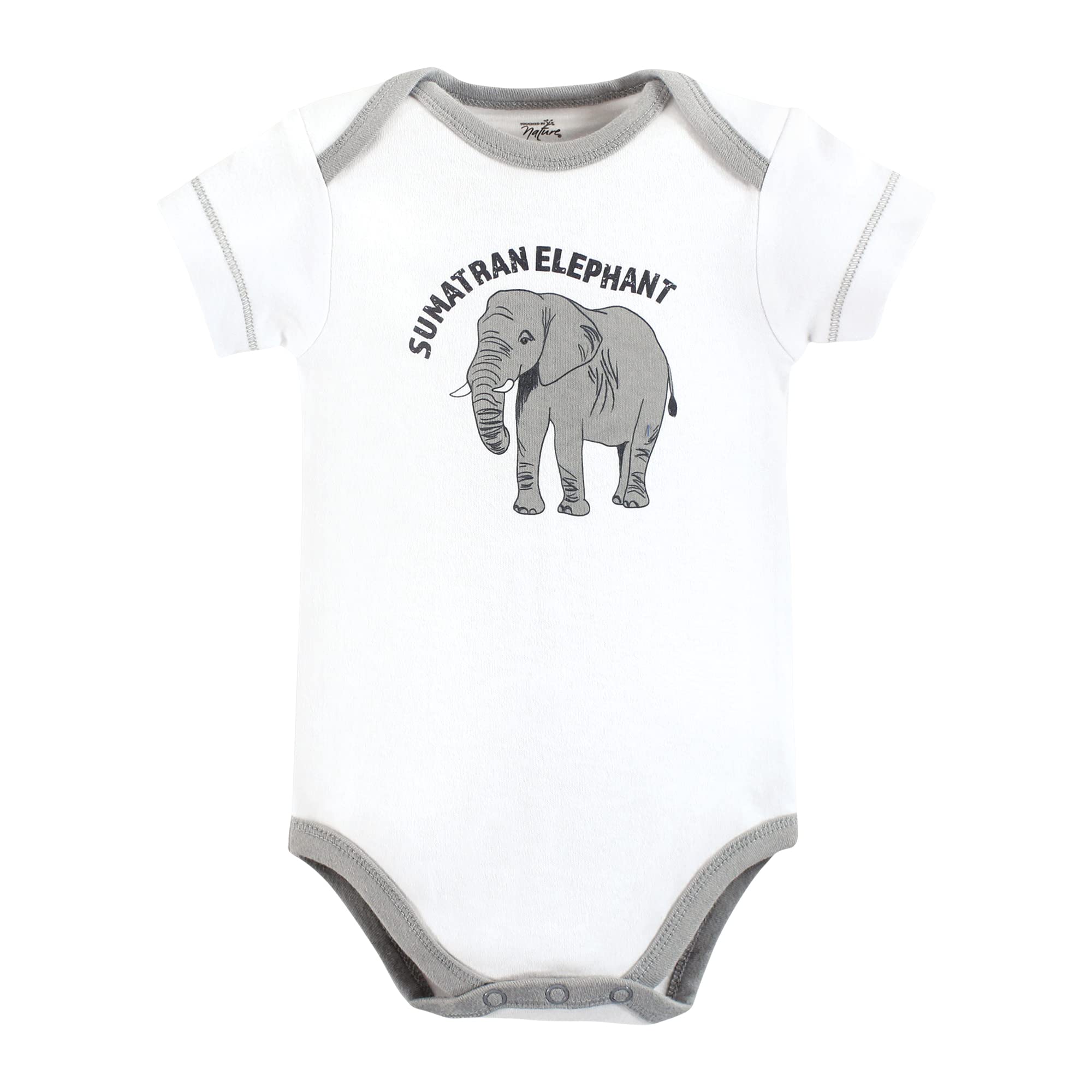 Touched by Nature Organic Cotton Bodysuits Touched by Nature - Body unisex para bebé, algodón orgánico, animales marinos en peligro de extinción, 3-6 meses, para niña