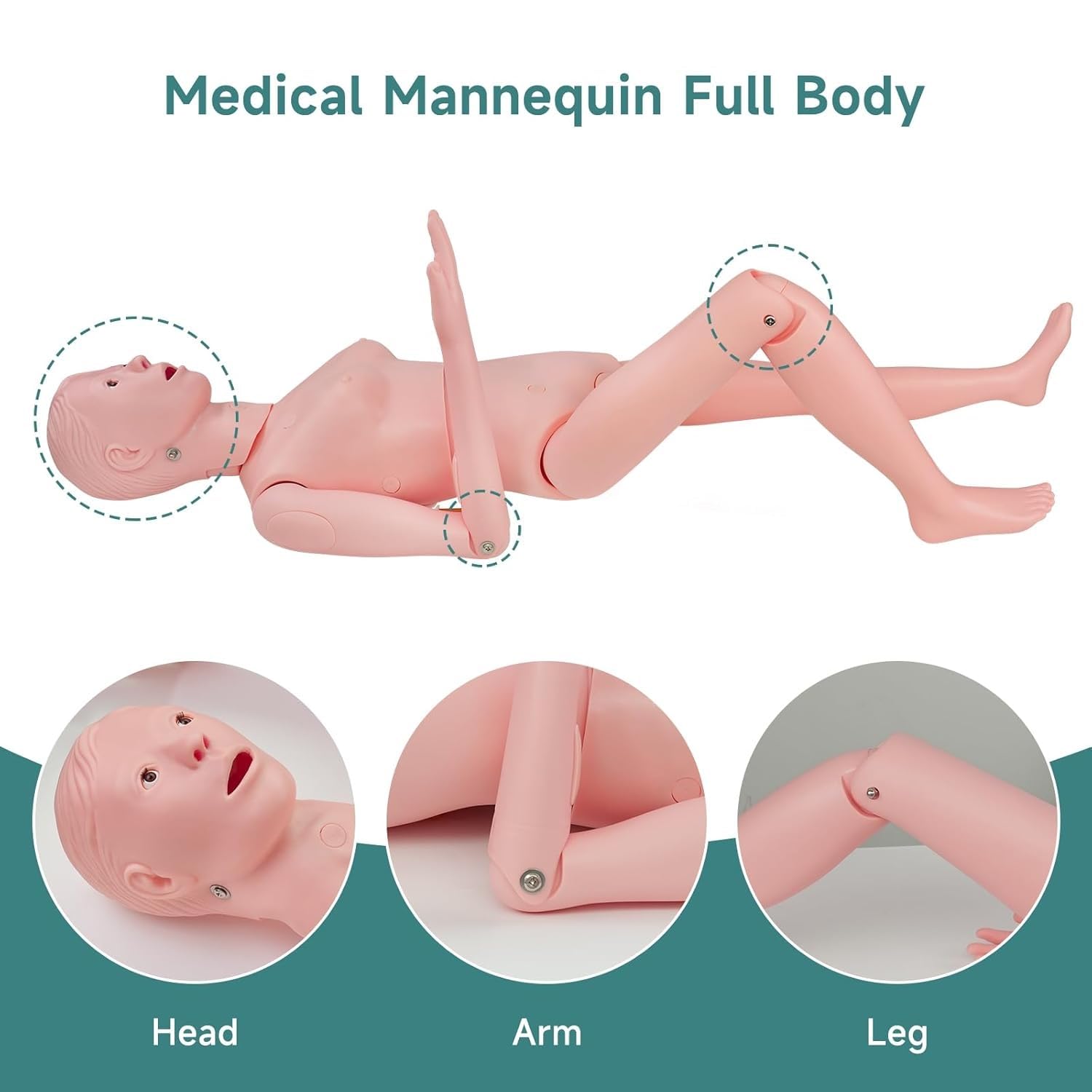 Simulador de cuidado corporal, maniquí de entrenamiento de enfermería, modelos de anatomía humana de demostración de tamaño real, modelo de enseñanza de educación multifuncional para enseñar y