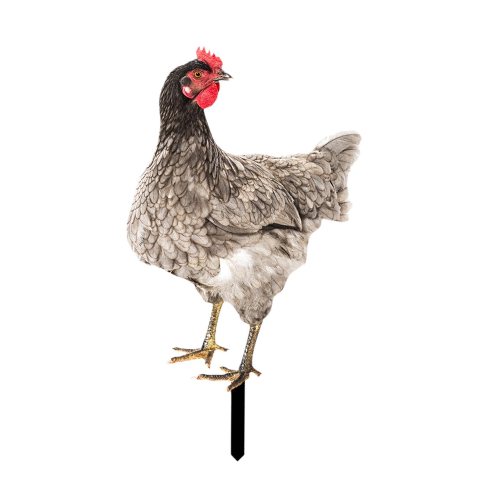 mophrati Acrylic Animal Stake Figurine Sign Pathway Patio Secures Attention On Chicken Garden Statue Enriching Warm Outdoor Ambiance Chicken Garden Statue, Style D