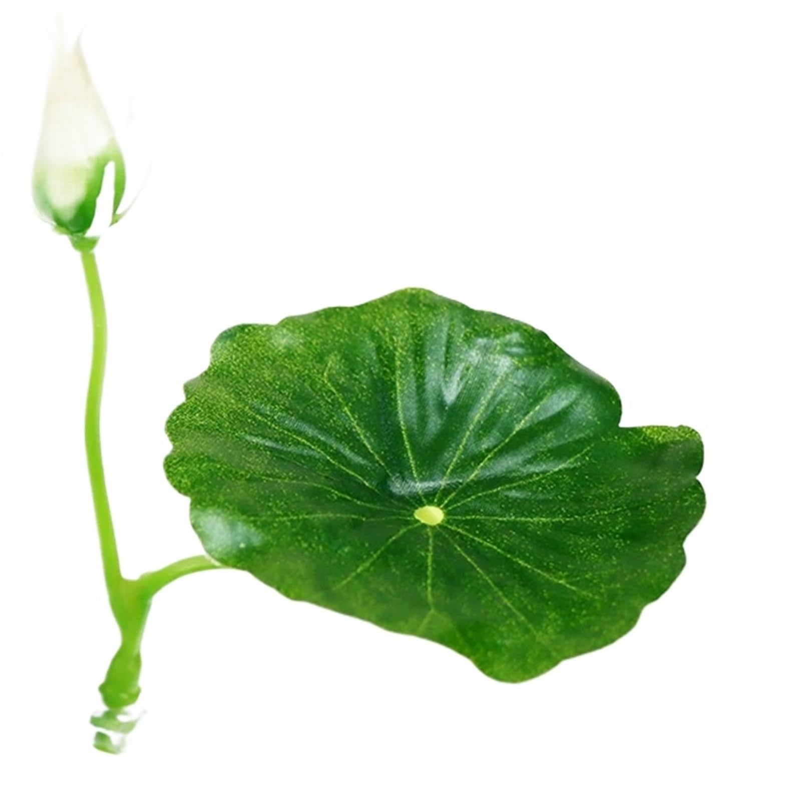 HKSDKABOP Fish Leaf Pad, 1pcs Suction Cup Fish Tank Plants Decoration Betta Hammock Multicolor(Color3)