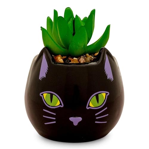 Disney Hocus Pocus "Binx Is My Boo" 3-Inch Ceramic Mini Planter With Artificial Succulent | Small Flower Pot For Crafts, Faux Indoor Plants For Desk Shelf, Home Decor Trinket Tray | Halloween Gifts - Binx Is My Boo