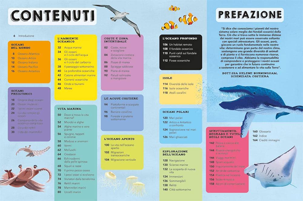 Il libro del mare. Esplora le profondità nascoste del nostro pianeta blu