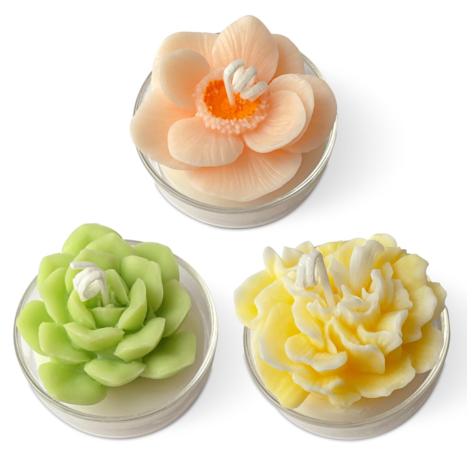 Realistic Succulent and Flower Candle Set in Glass Holder, 3 Pack Soy Wax Candle with Strong Scent for Home Fragrance, Décor and Gifting