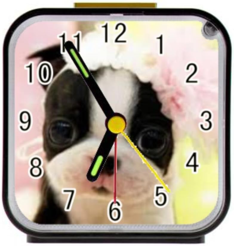 EllisKo cute babg dogs boston terrier puppies Square Black