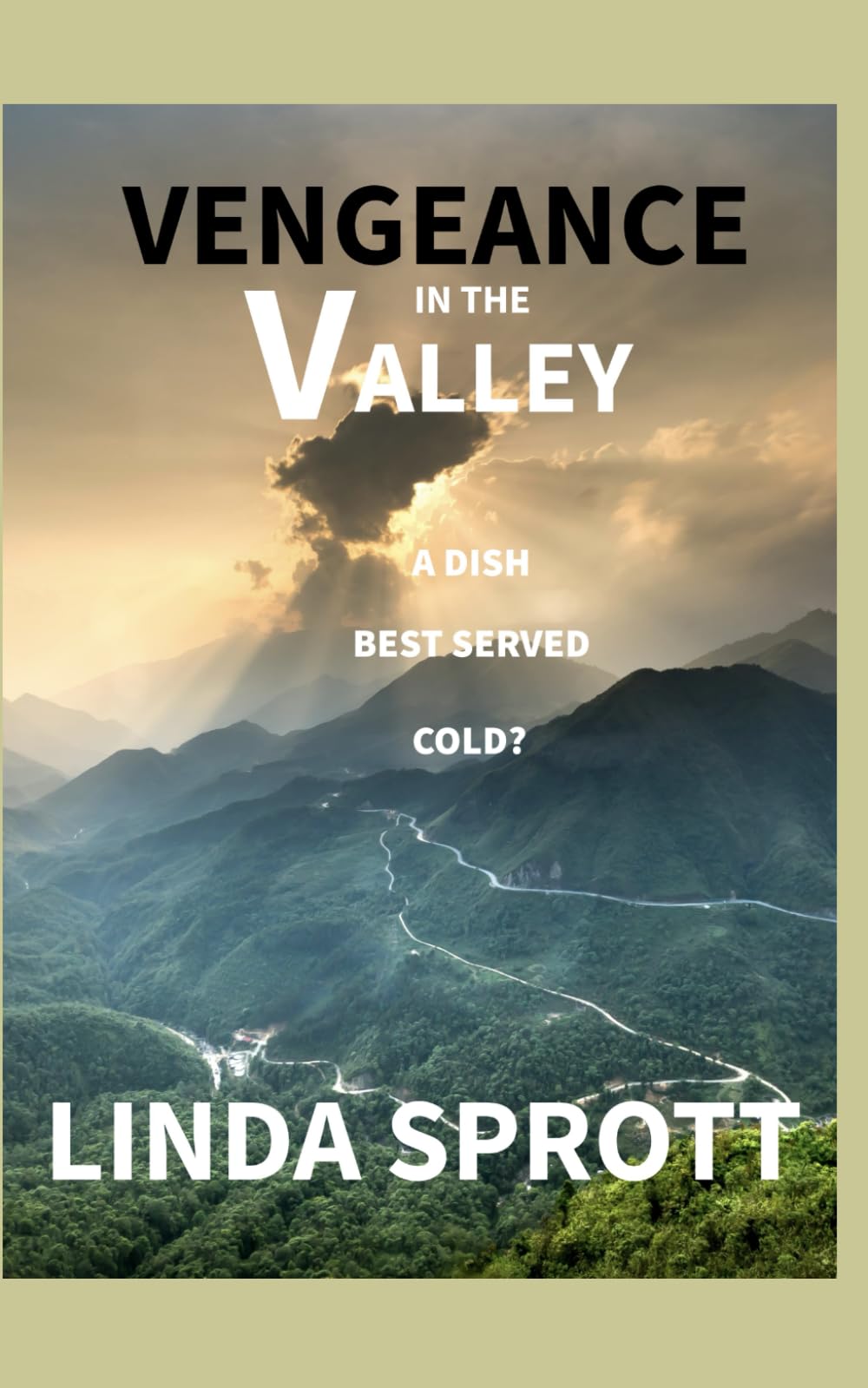 Vengeance in the Valley (Welsh Crime Mystery Book 1)