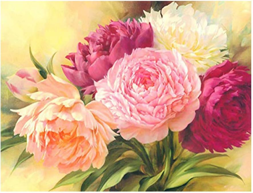 Kimily DIY Paint by Numbers for Adults Kids Flower Peony Paint by Numbers DIY