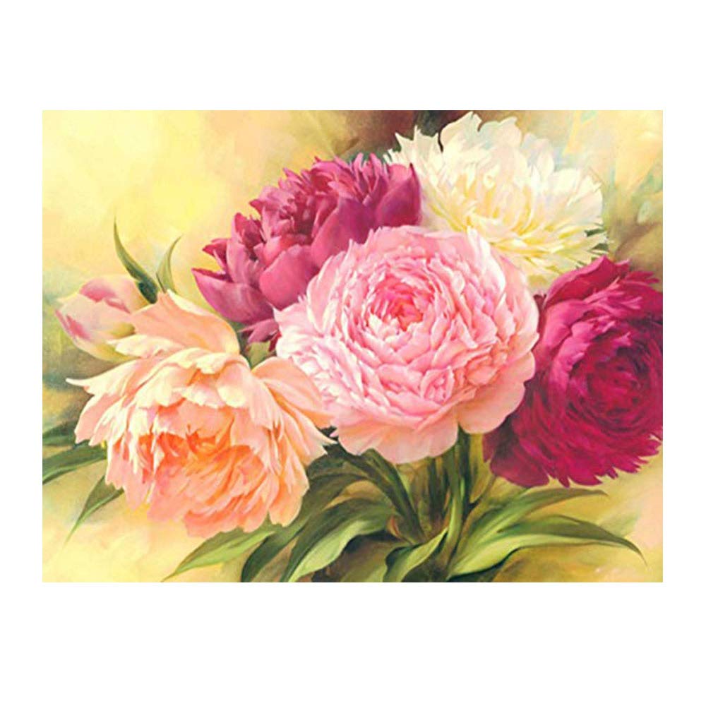 Kimily DIY Paint by Numbers for Adults Kids Flower Peony Paint by