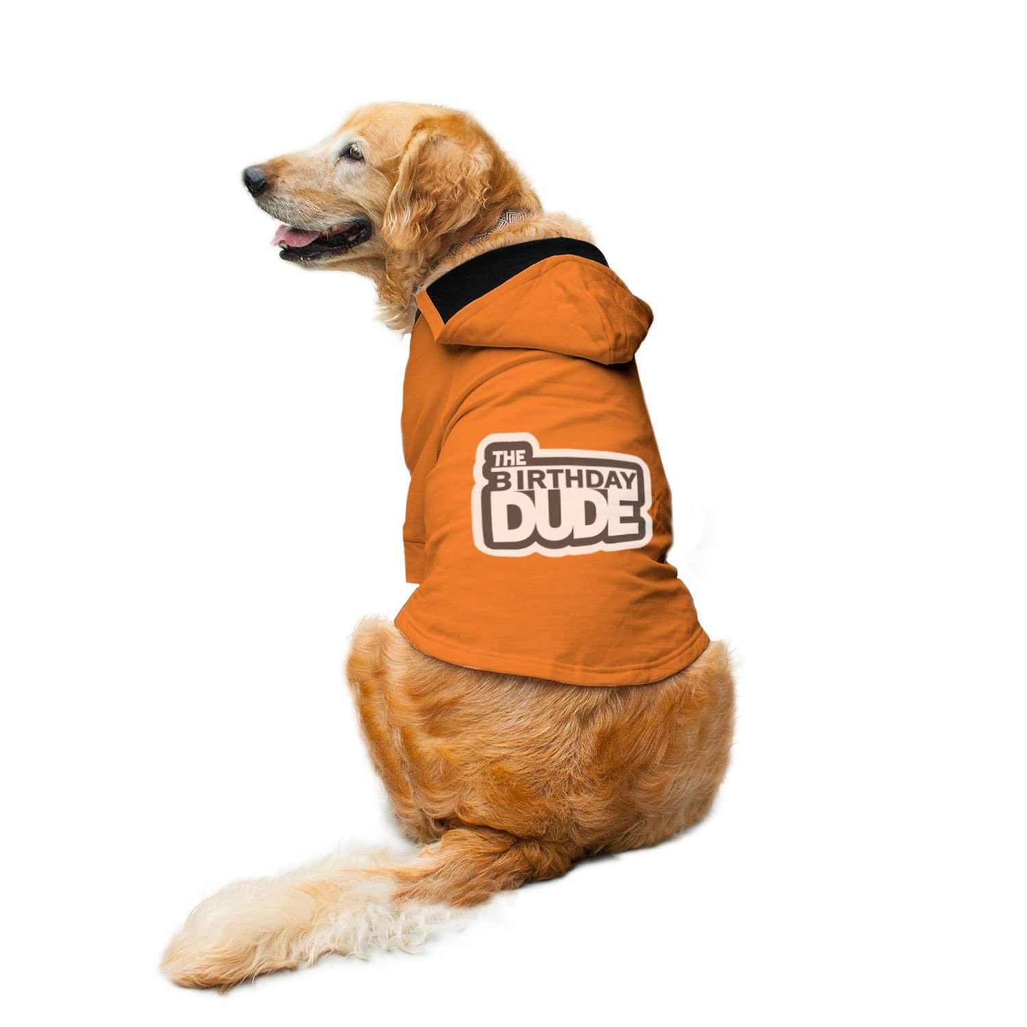 Ruse The Birthday Dude Printed Full Sleeves Dog Autumn Winter Hoodie Jacket/Apparel/Clothes/Jackets Gift for Dogs.Orange/XX-Large (Full Grown Saint Bernard, Great Dane etc.) (B09J5BCZZR) Amazon Price History, Amazon Price Tracker