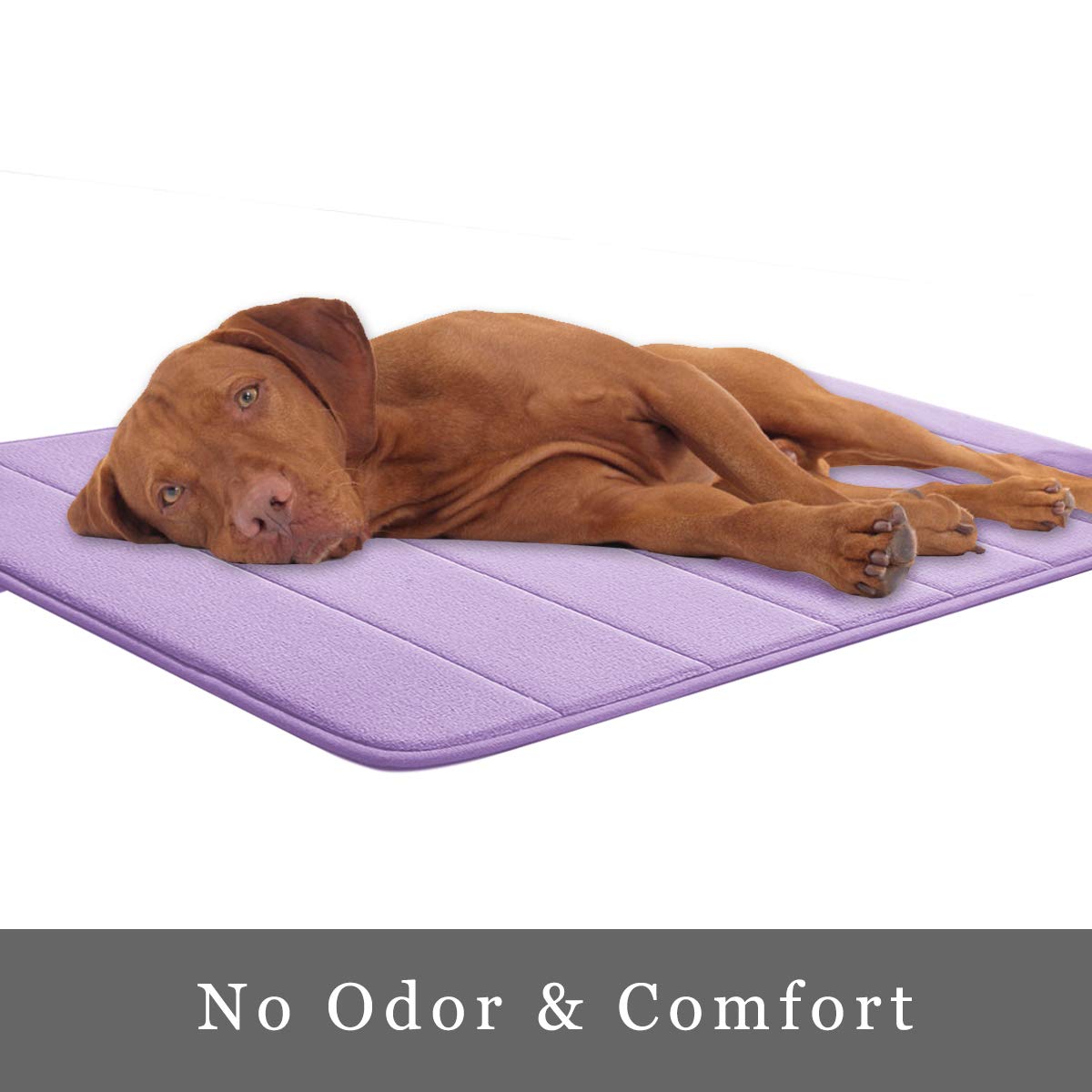 Amazon | メモリーフォームバスマット 17インチ x 24インチ コーラル