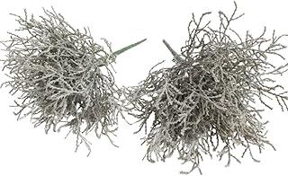 Botanic-Haus Artificial Calocephalus (Barbed Wire Plant/Silver Basket) Colour: Grey (Pack of 2)