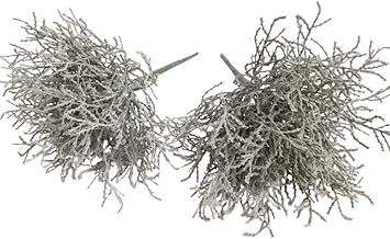 Botanic-Haus Artificial Calocephalus (Barbed Wire Plant/Silver Basket) Colour: Grey (Pack of 2)
