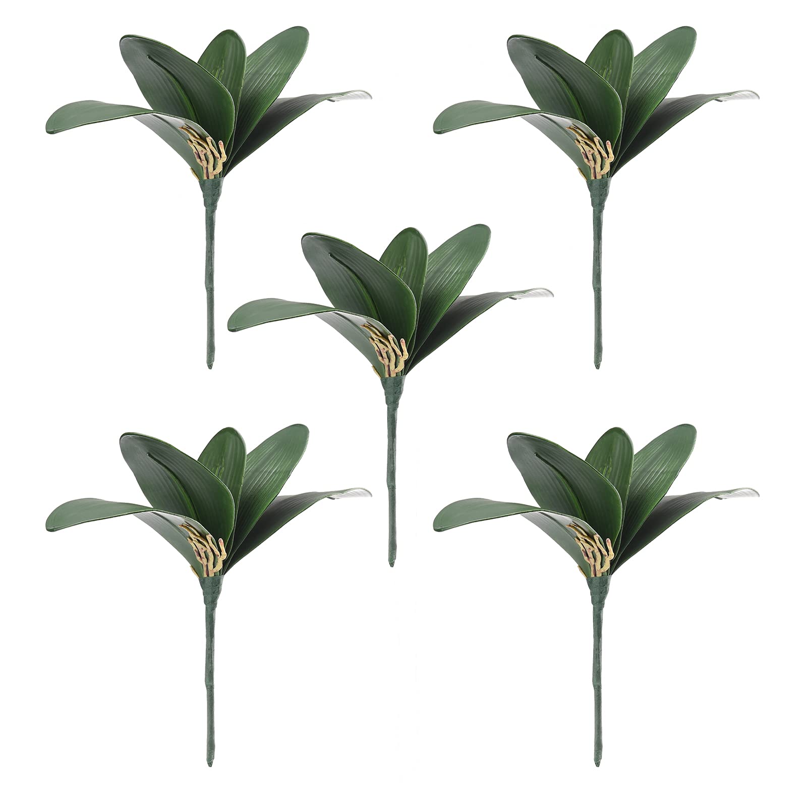 JFBUCF 5 Pack Artificial Phalaenopsis Orchid Leaves Real Touch Butterfly Orchid Leaves Stem 5 Petals Cymbidium Green Plant for Flowers Arrangements Bonsai