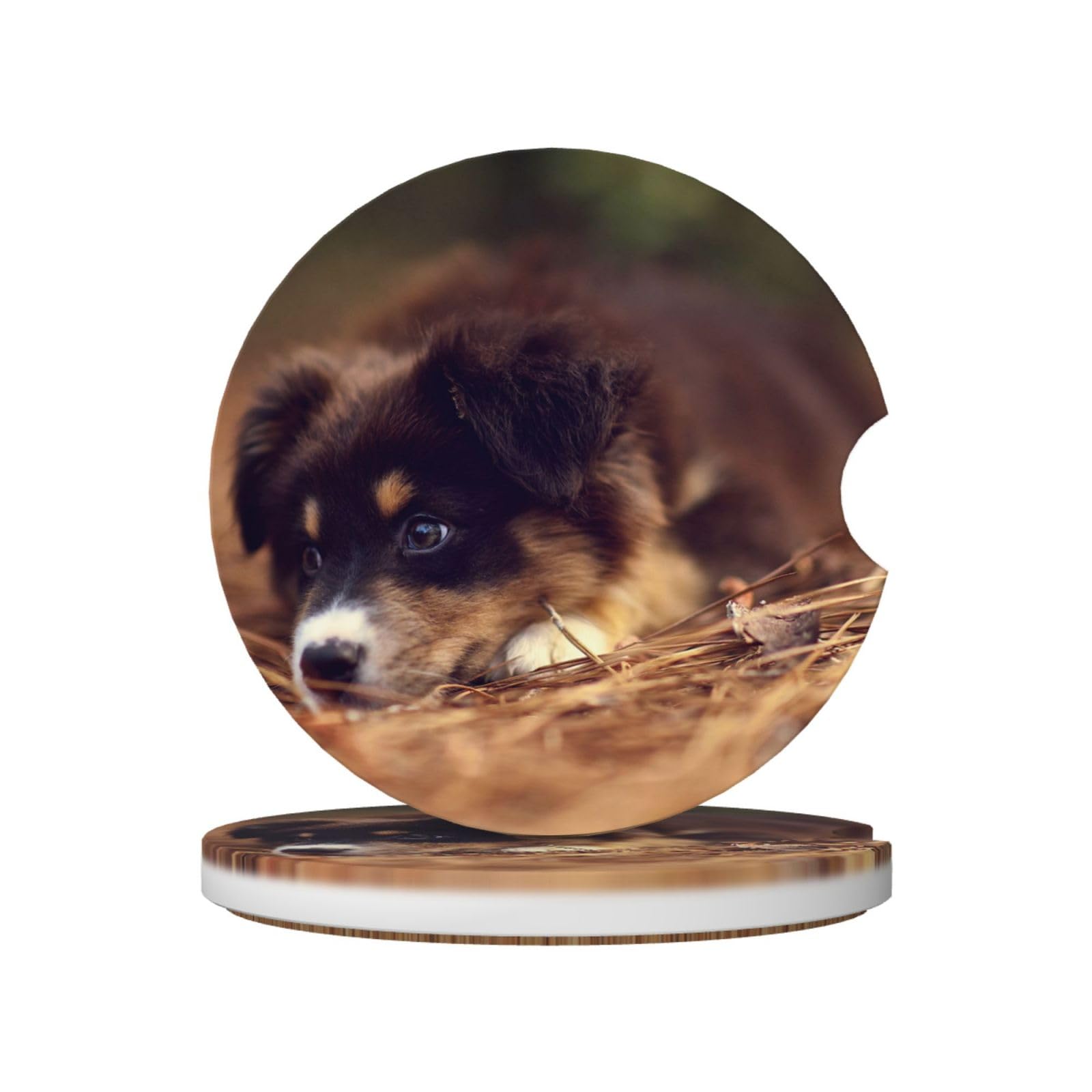 Border Collie Puppy Bokeh Brown Border Collie, Car Cup Holder Coasters 2 Pack, Absorbent Ceramic Car Coasters with Non Slip Cork Base