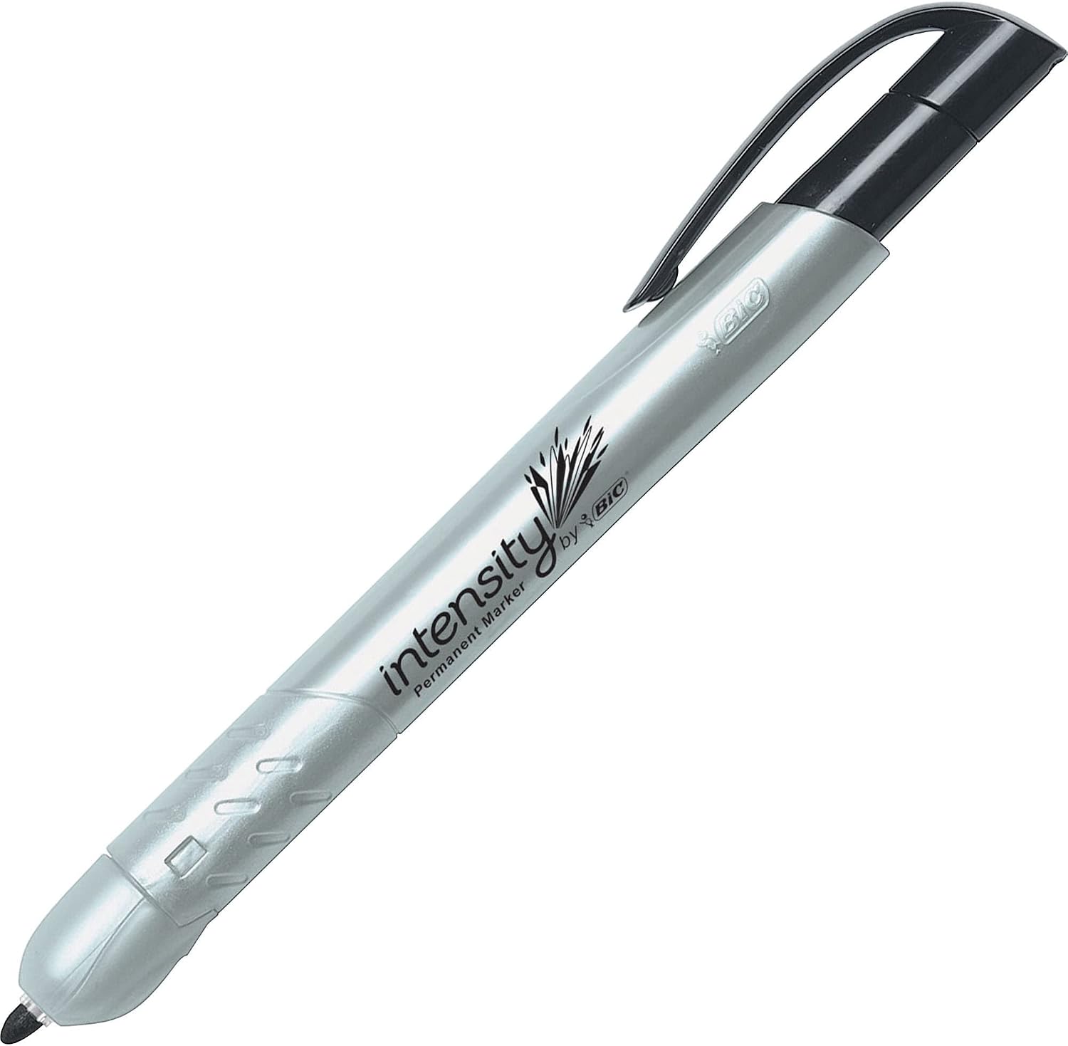 BIC Intensity Permanent Markers, Fine Bullet Tip, Black, 12-Count Pack