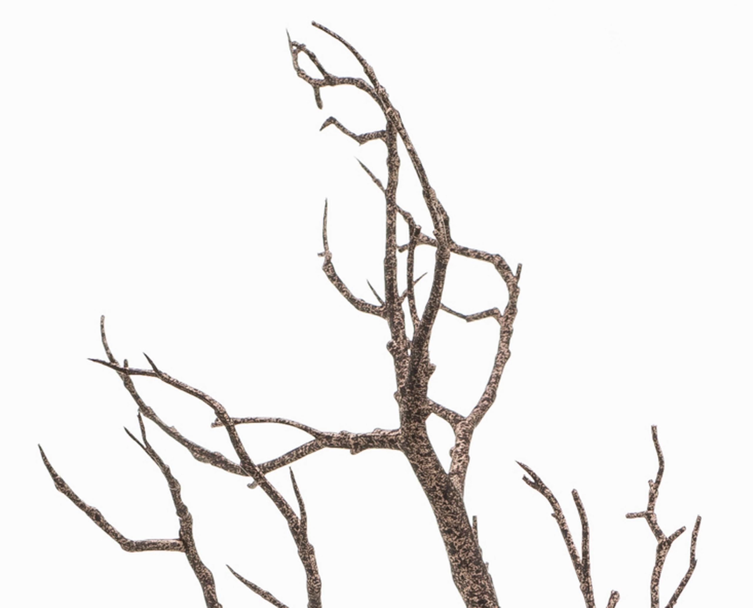 artplants.de Branche de Bouleau Artificiel Cezanne, Brun, 90cm