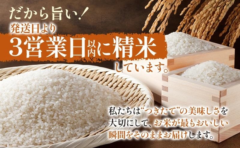 Amazon.co.jp: 【精米】静岡県産こしひかり5㎏ 令和7年産 川島米穀店