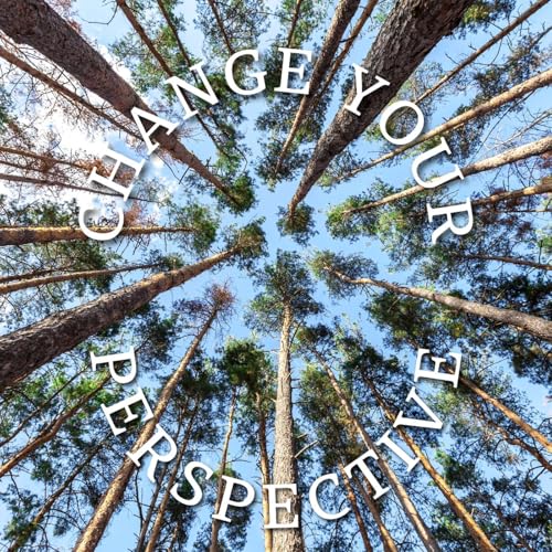 Change your Perspective, Change your Ride