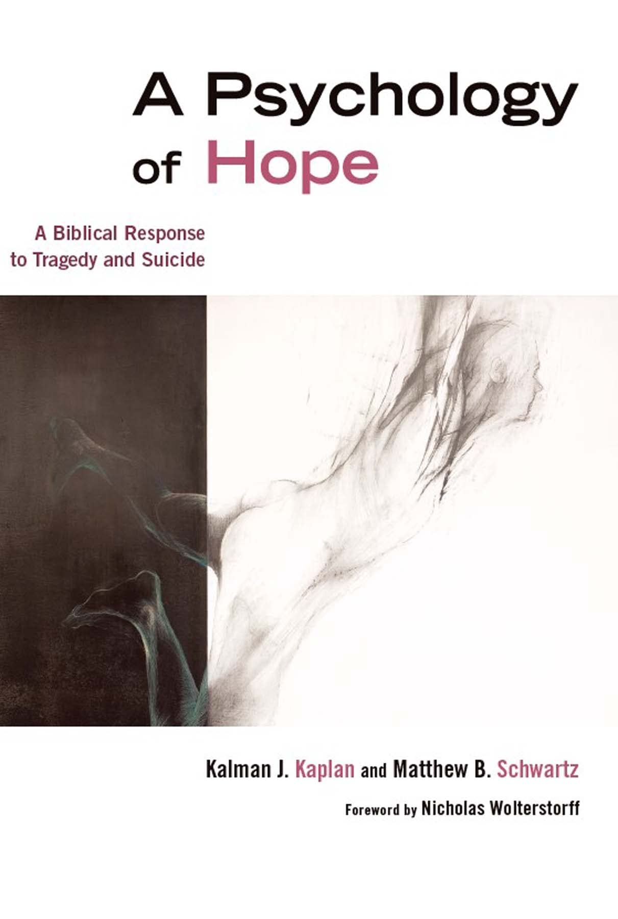 A Psychology of Hope: A Biblical Response to Tragedy and Suicide