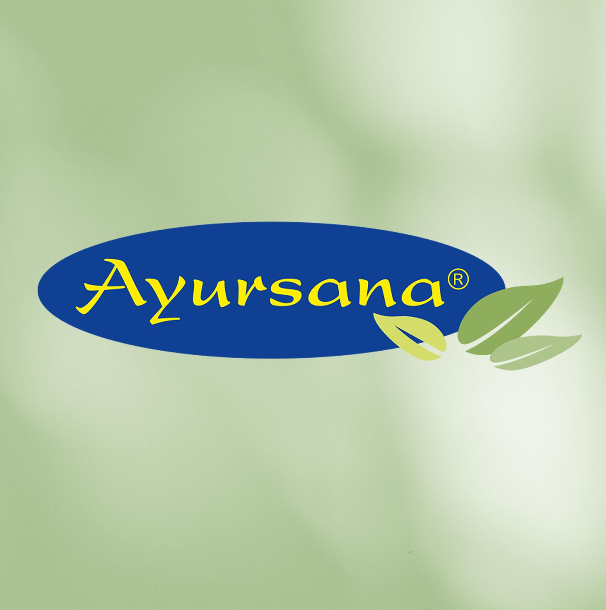 Ayursana Bittere Aprikosenkerne Bio 1000g - Reich an Amygdalin - Saatgut, naturbelassen & schonend getrocknet - Zum Beimischen von Smoothie Bowls, Müslis – Apricot Nuts geprüft im deutschen Labor
