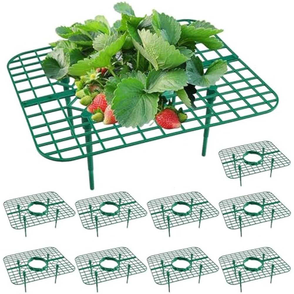 KeuLen Support for fraisiers, Lot de 10, Support de Plantation for fraisiers, Supports de Culture for fraisiers, Cadre de Culture for fraisiers