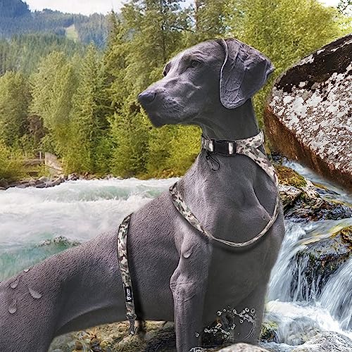 TSPRO Freihandleine Hund für Mittel bis Große Hunde, Verstellbar und Dauerhaft, mit Weichem Gepolstertem Griff und Metallschnalle (Militärgrün)