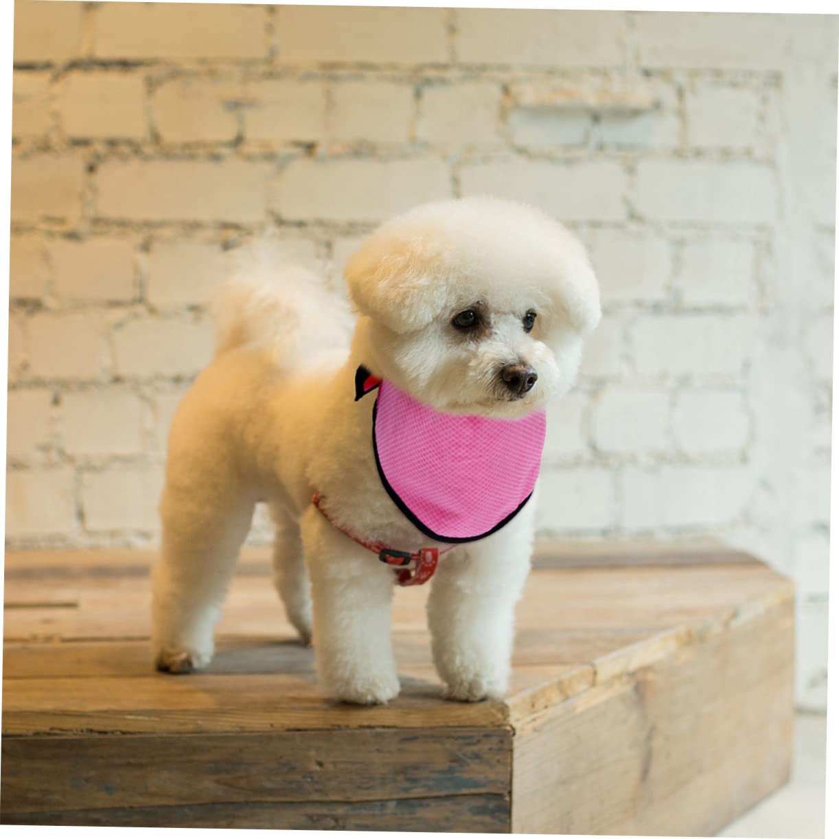 Housoutil 4stücke Kühlendes Hundetuch Atmungsaktive Kühlbandana Für Hunde Für Sommeraktivitäten Wie Und Sport Mit Punkten Punkten