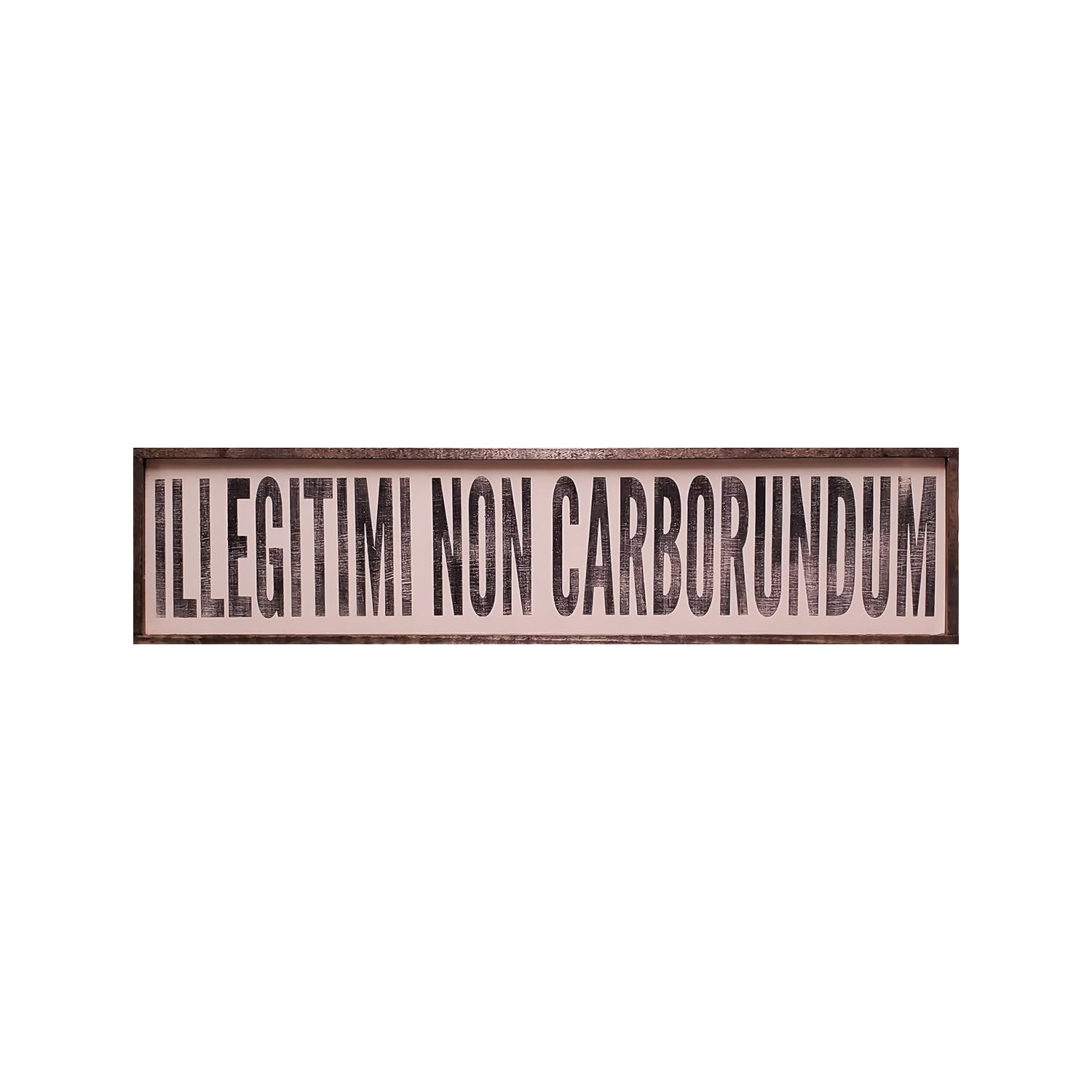 Szhmz Colour-245 Vintage Primitive Funny Decor Illegitimi Non Carborundum Don't Let The Bastards Get You Down Kitchen Farmhouse Rustic Metal Sign 4X16 Inch, Cqq-A12