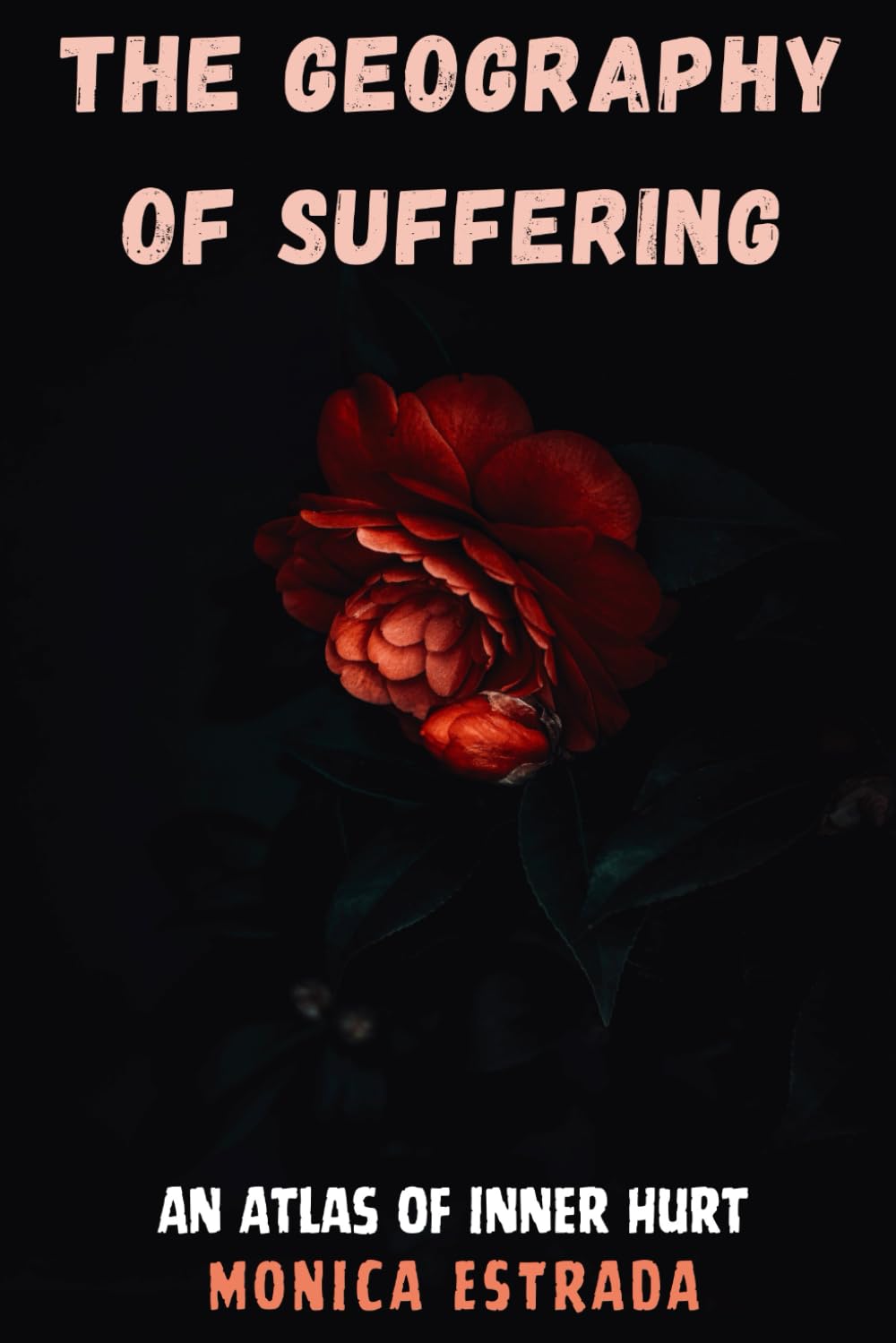 The Geography of Suffering: An Atlas of Inner Hurt