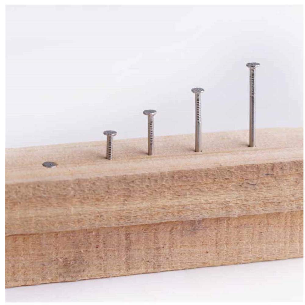 Clavos de ferretería, clavos de acero para ladrill Clavos de acero inoxidable 304, clavos, redondos carpintero, alargados, 50 unidades 1 pulgada(1 Inch)