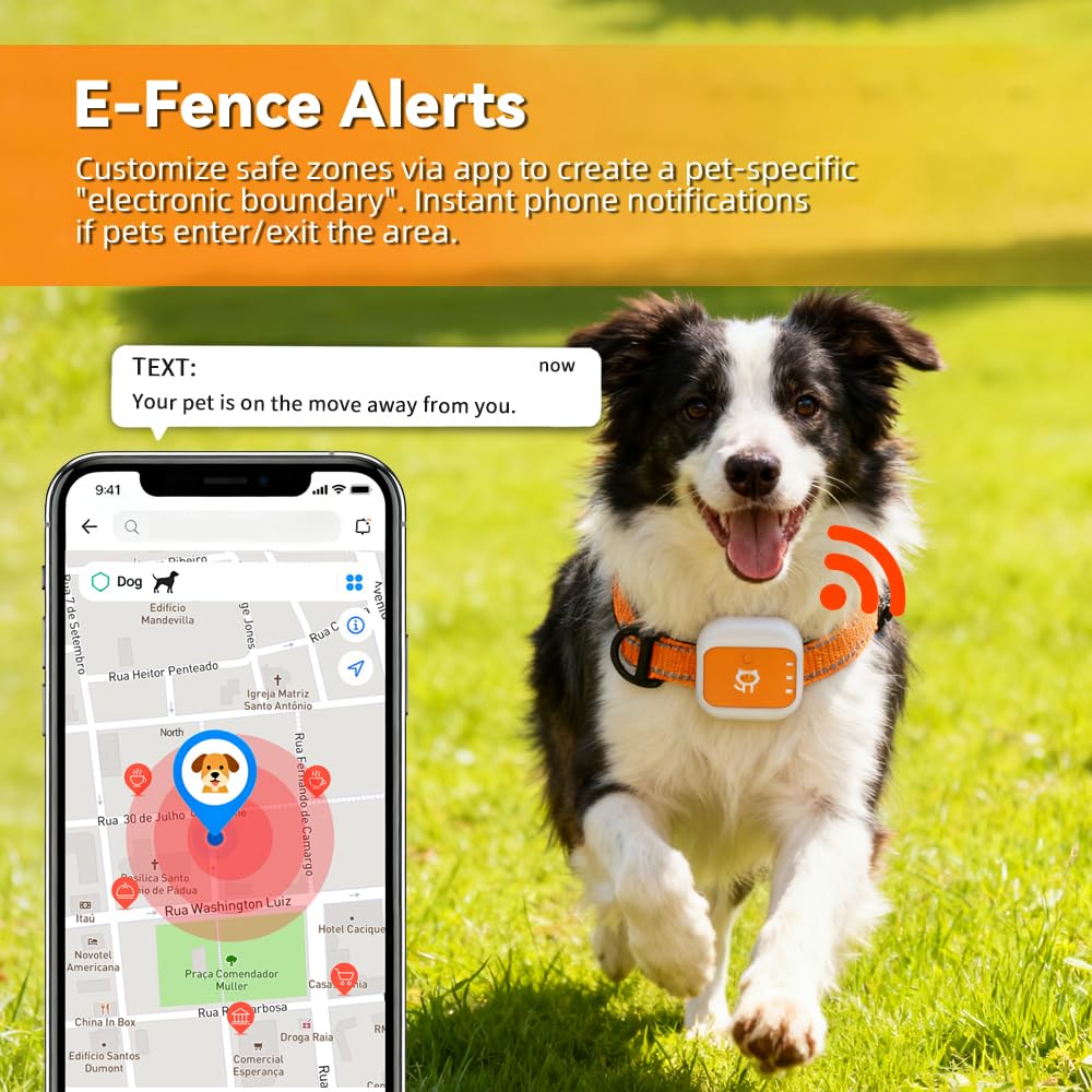 Rastreador GPS Gato Perro, Seguimiento GPS En Tiempo Real, Avisos De Salud, Alertas Antifuga, Alerta De Valla Electrónica, Historial De Rutas, Resistente Al Agua IPX7, SIM 4G Incorporada
