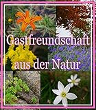 Gastfreundschaft aus der Natur