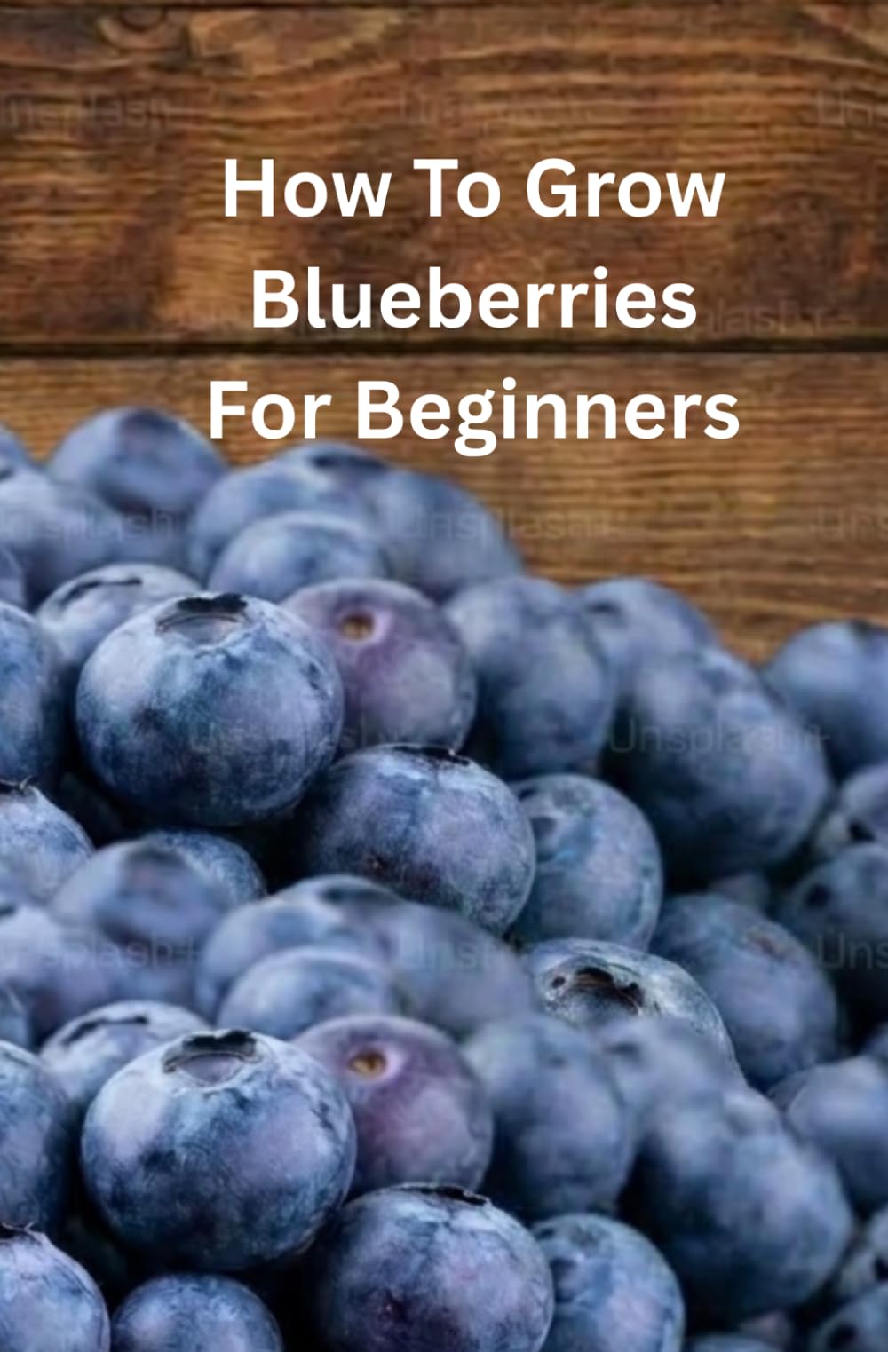 How to Grow Blueberries for Beginners: The Step-by-Step Guide to Growing, Maintaining, and Propagating Healthy Blueberry Plants for Reliable Home Harvests